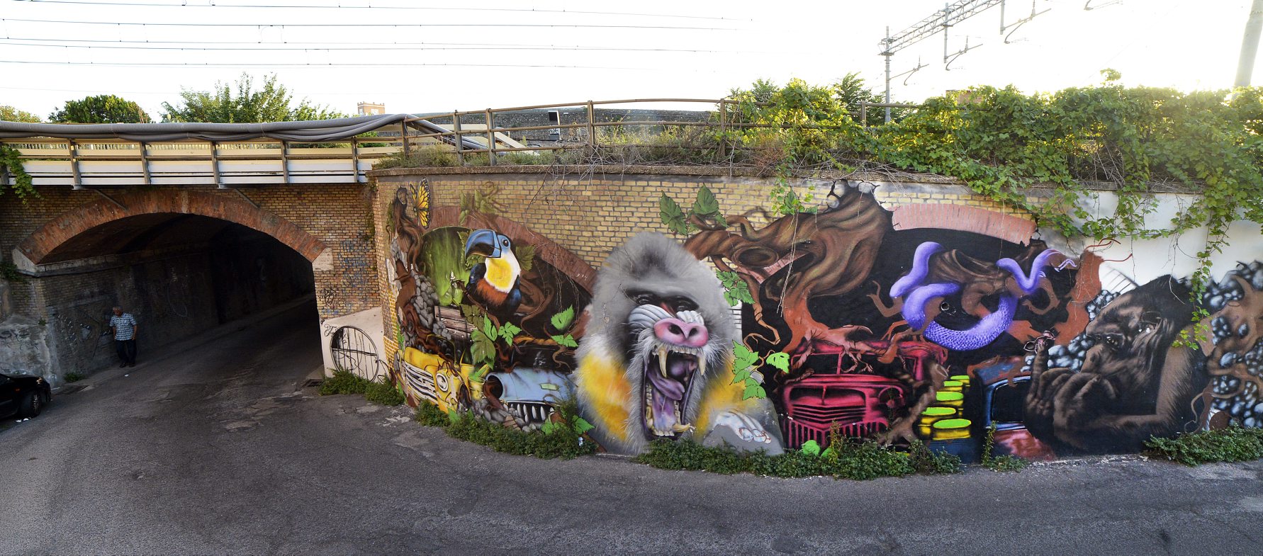 Street art a via del Mandrione