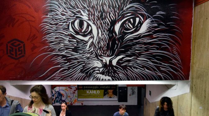 Metro Spagna. Murale di C 215