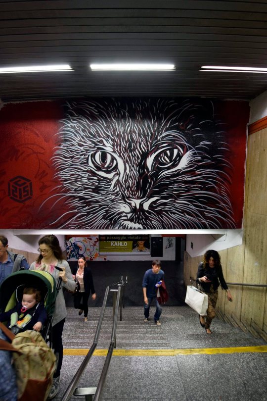 Metro Spagna. Murale di C 215