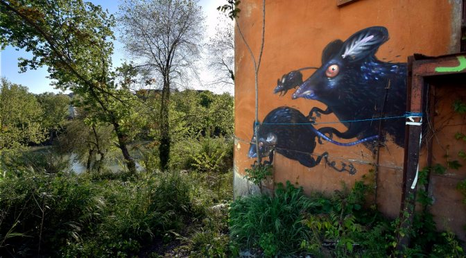 Ex centro sociale Pantegana