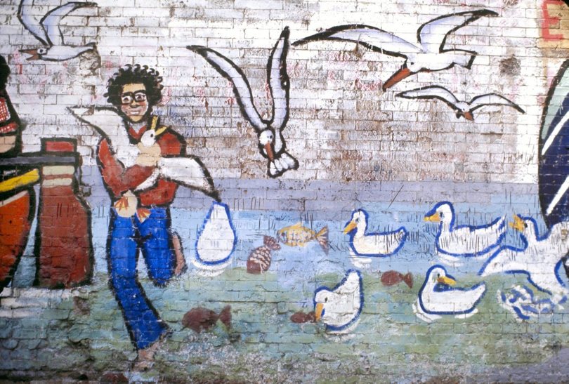 Murali a Tor di Nona