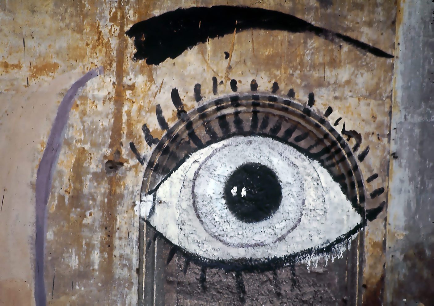 Murali a Tor di Nona