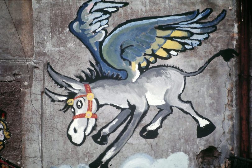 Murali a Tor di Nona