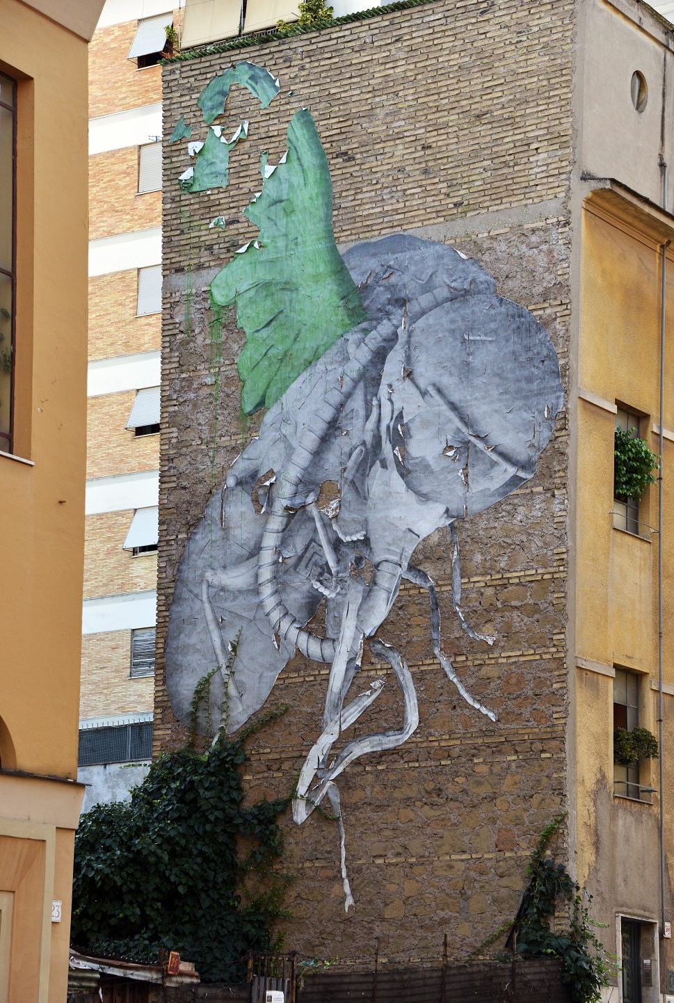 Murali a Torpignattara