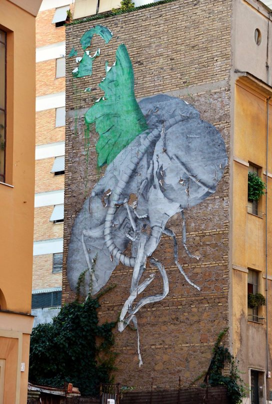 Murali a Torpignattara