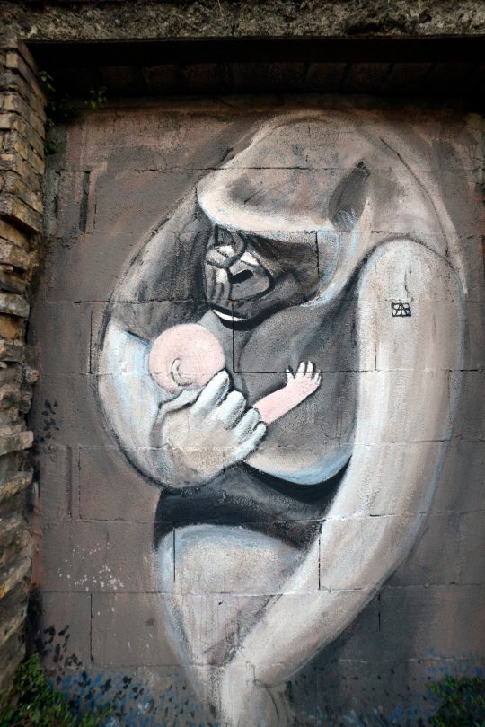 Murali a Torpignattara