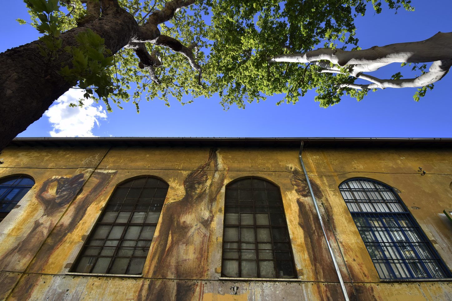 Circolo Mario Mieli, murali di Borondo