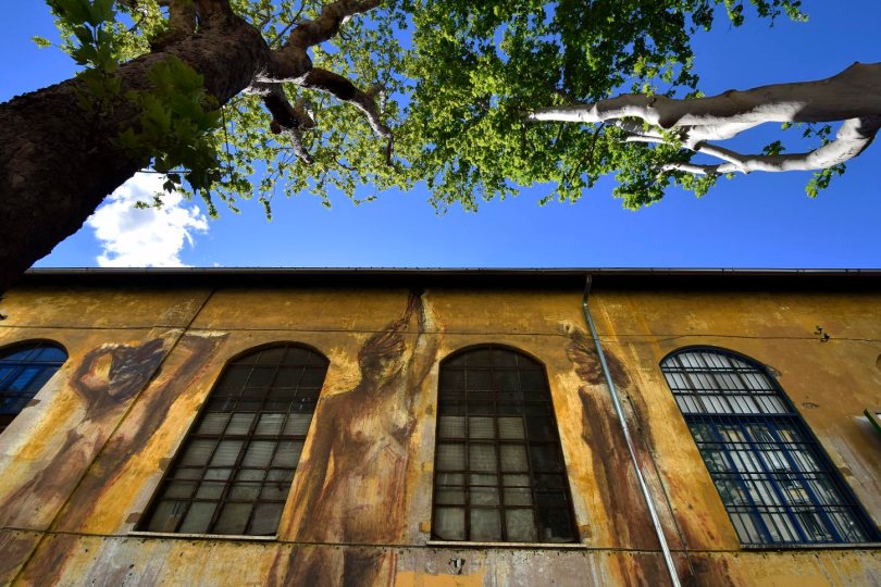 Circolo Mario Mieli, murali di Borondo