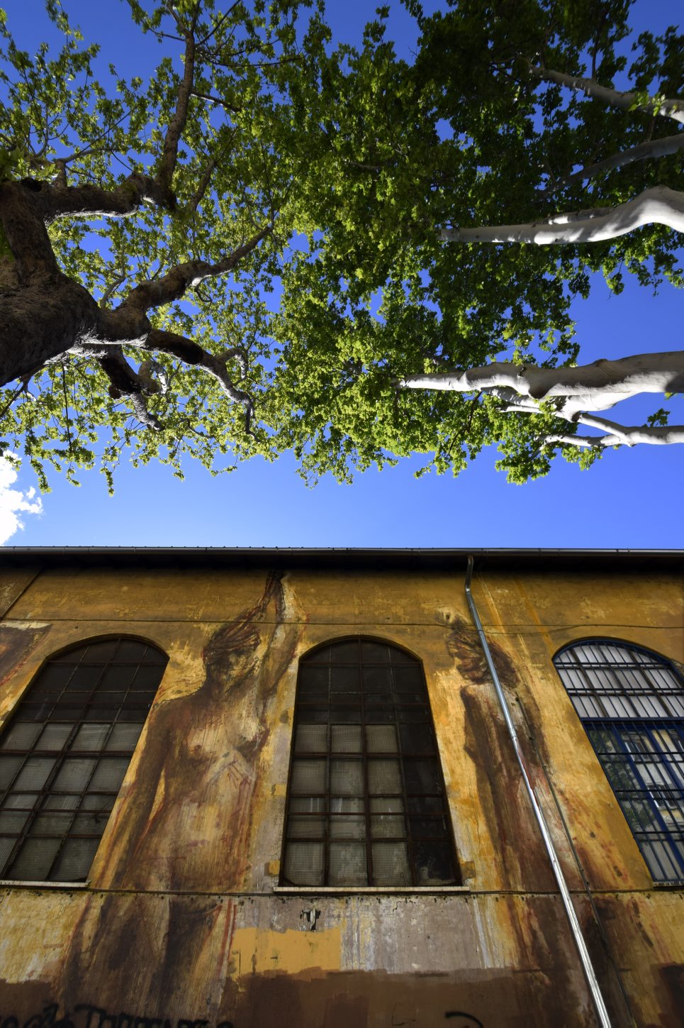 Circolo Mario Mieli, murali di Borondo