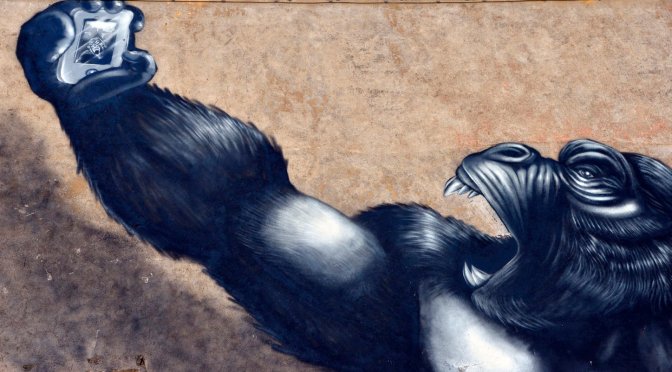 Magliana. Il selfie del gorilla