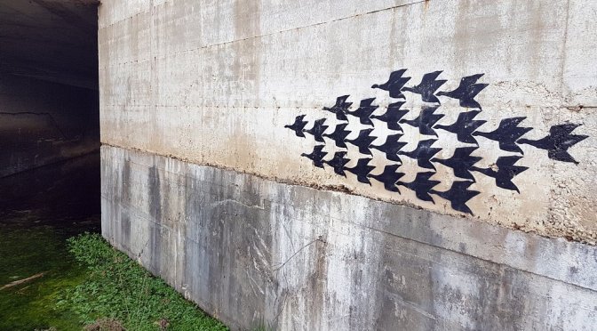 Talenti. Le anatre di Escher